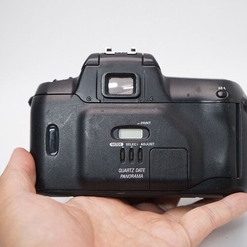 胶片相机 全自动 Nikon尼康F50 胶片单反相机自动对焦专业级D口 - 图0