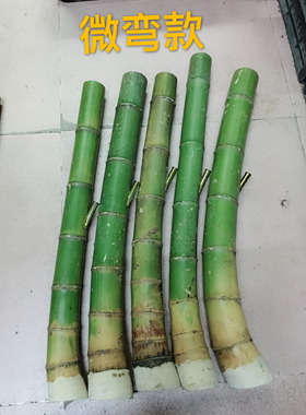 全新原竹水烟筒大碌竹原色大嘴