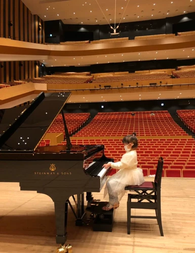 Dex подлинный кожаный фортепиано -стул на спинку