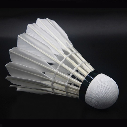 Профессиональные соревнования по бадминтону Hangyu Platinum Duck Feather