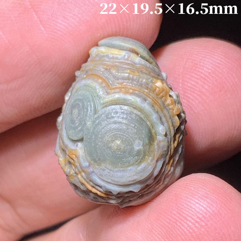 内蒙古 阿拉善天然天眼睛石原石奇石缠丝花眼玛瑙 戈壁 筋脉 糖心