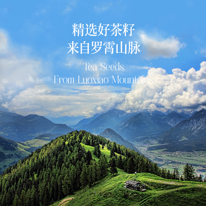 【热炒 山茶油】晟麦茶籽油纯野生山茶油家庭炒菜食用一级压榨2L