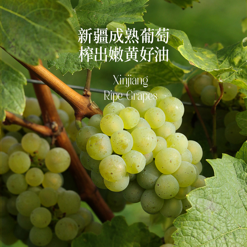 【热炒】晟麦葡萄籽油家庭食用油大规格2L装高烟点少油烟中式烹饪