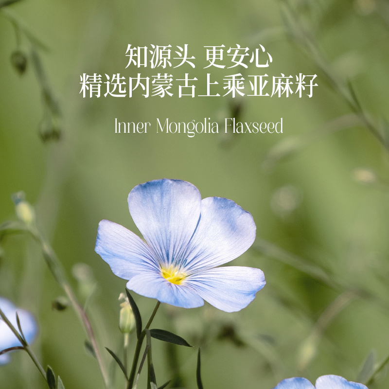 【晟麦 纯亚麻籽油】直接喝一级物理冷榨初榨500ml食用油高亚麻酸
