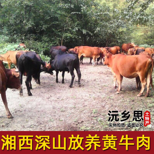 包邮湖南沅陵特产湘西黄牛肉干彭家姐妹腊牛肉原味干牛肉无防腐剂 - 图3