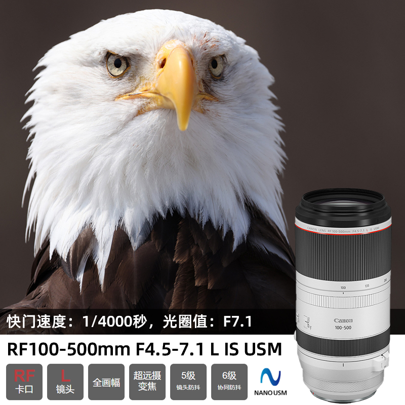 佳能RF100-500mm F4.5-7.1L IS USM超远射长焦打鸟变焦镜头 - 图1