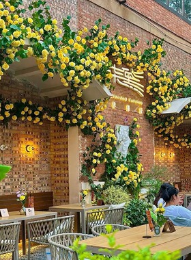 仿真花藤黄色玫瑰花打卡造景