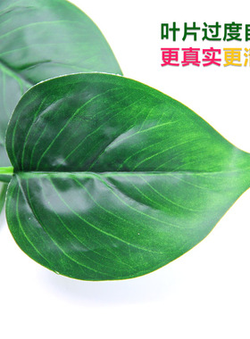 仿真藤蔓吊顶缠绕室内装饰绿萝叶