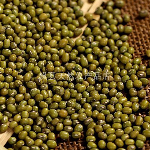 山西岚县特产绿豆面粉绿豆粉纯绿豆粉现磨生绿豆面绿豆糕粉5斤装 - 图1
