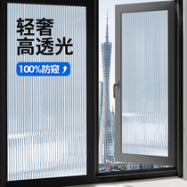 Long iridescent glass sticker anti-light home privacy adhesive film light transmission opaque frosted windows toilet bathroom door