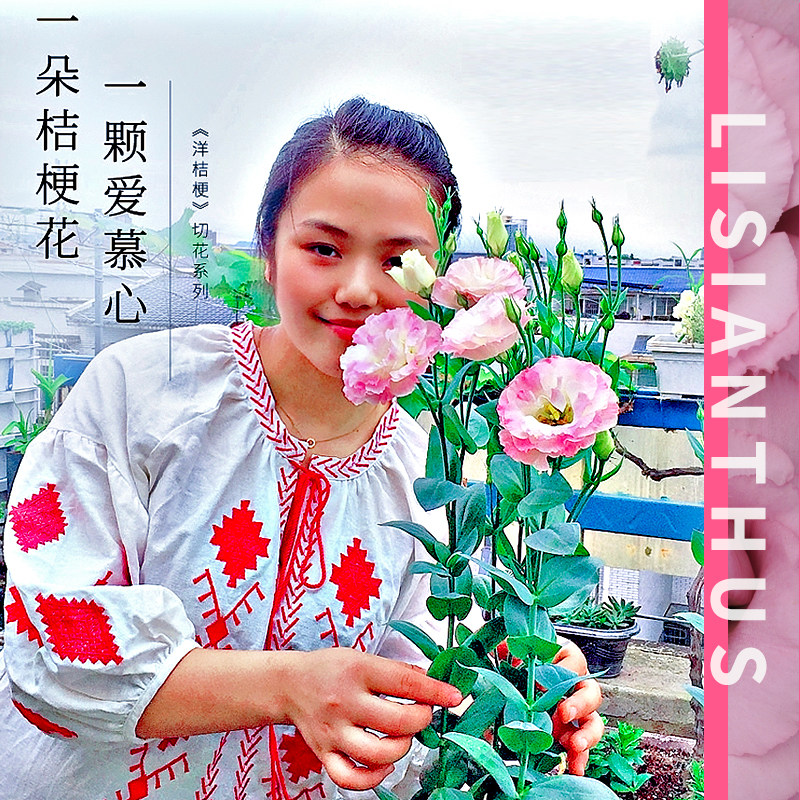 夏夏花园 进口鲜切花洋桔梗小花苗 热品库 性价比省钱购