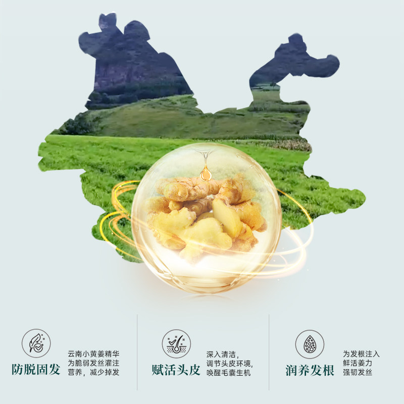 澳雪防脱发小黄姜洗头发膏露洗头水 澳雪洗发水