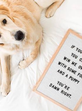 毛毡字母木质摆件留言板