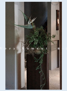 日本石松超长过山龙干花新中式缠绕装饰植物花材花藤垂挂悬挂藤蔓