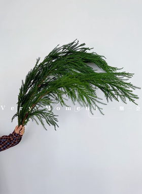 秋冬限定常绿干花绿植天竺少女柳衫松歪脖圣诞树diy中式花艺花材