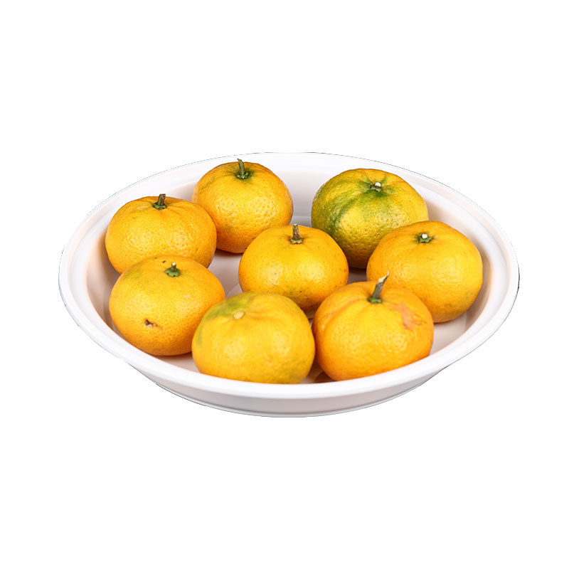 一次性盘子微波盘子菜盘烧烤盘烤生蚝盘聚餐菜盘水果托盘小吃碟子,淘宝优惠券,粉丝福利购,淘宝优惠卷