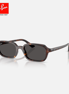 RayBan雷朋枕形板材太阳镜