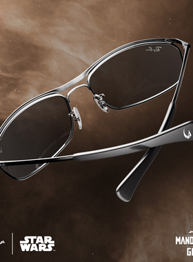 RayBan雷朋椭圆形金属太阳镜