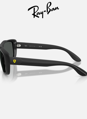 RayBan雷朋长方形尼龙太阳镜