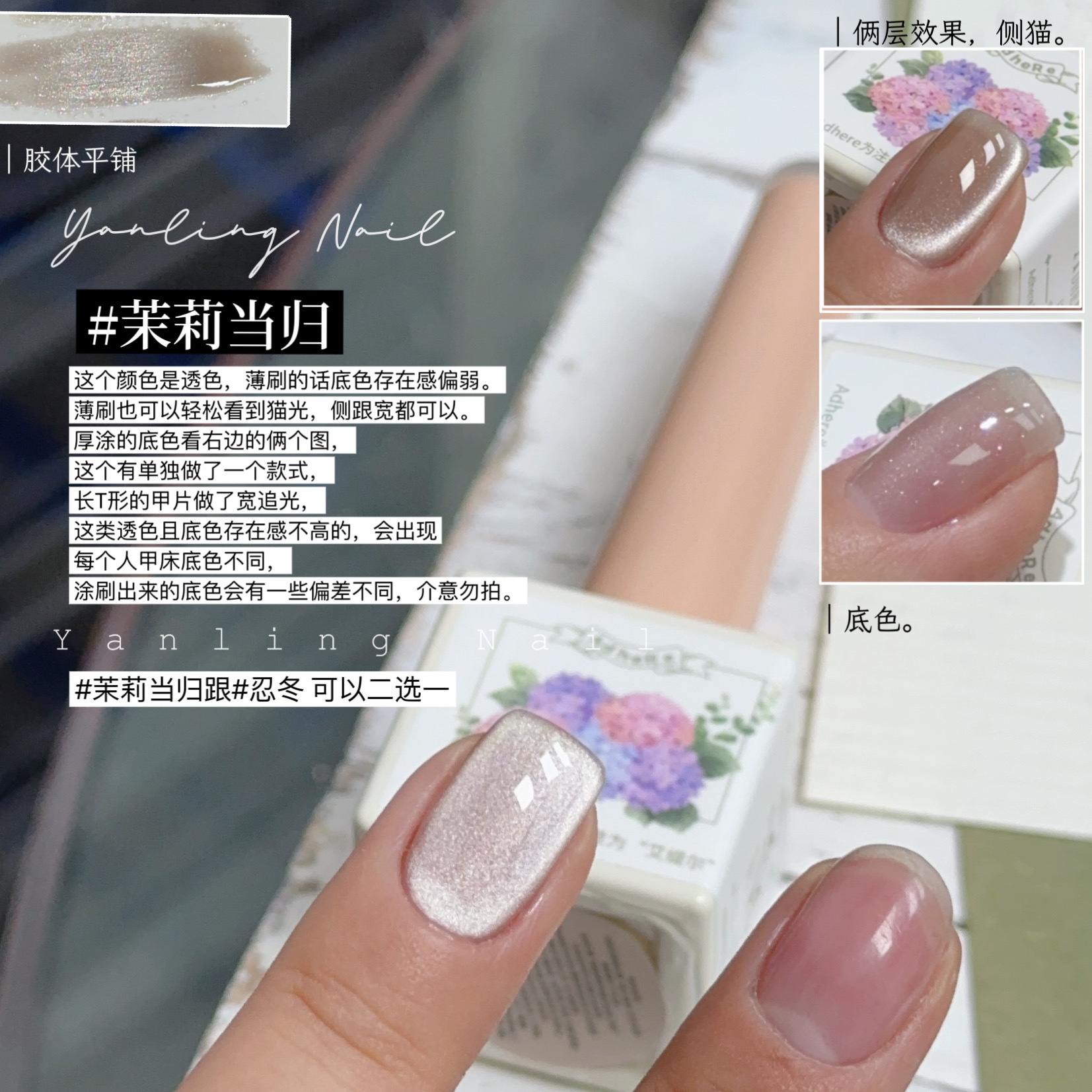 燕翎猫眼甲油胶肉桂猫茉莉当归云端雨季金盏盐湖花一杯罗勒猫眼胶 - 图3