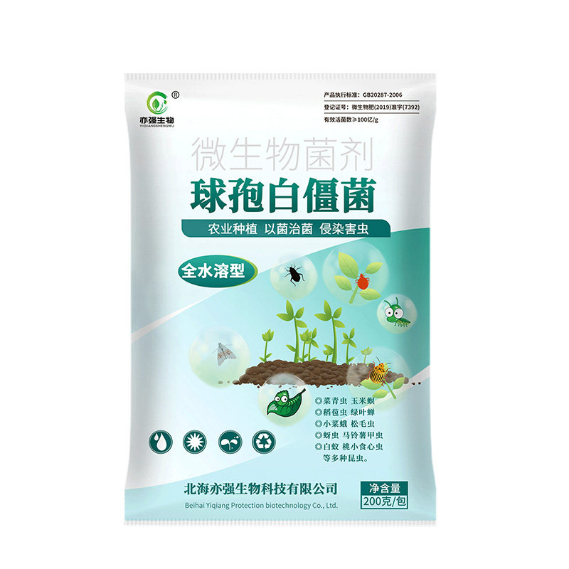 球孢白僵菌100亿/克全水溶性粉剂松毛虫蛴螬菜青虫微生物菌虫害-图2