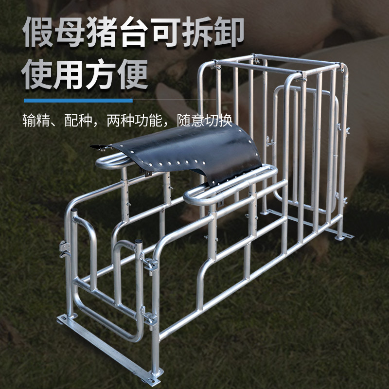 种猪小母猪配种架大公猪采精架子配种栏受精配猪架子配种神器设备