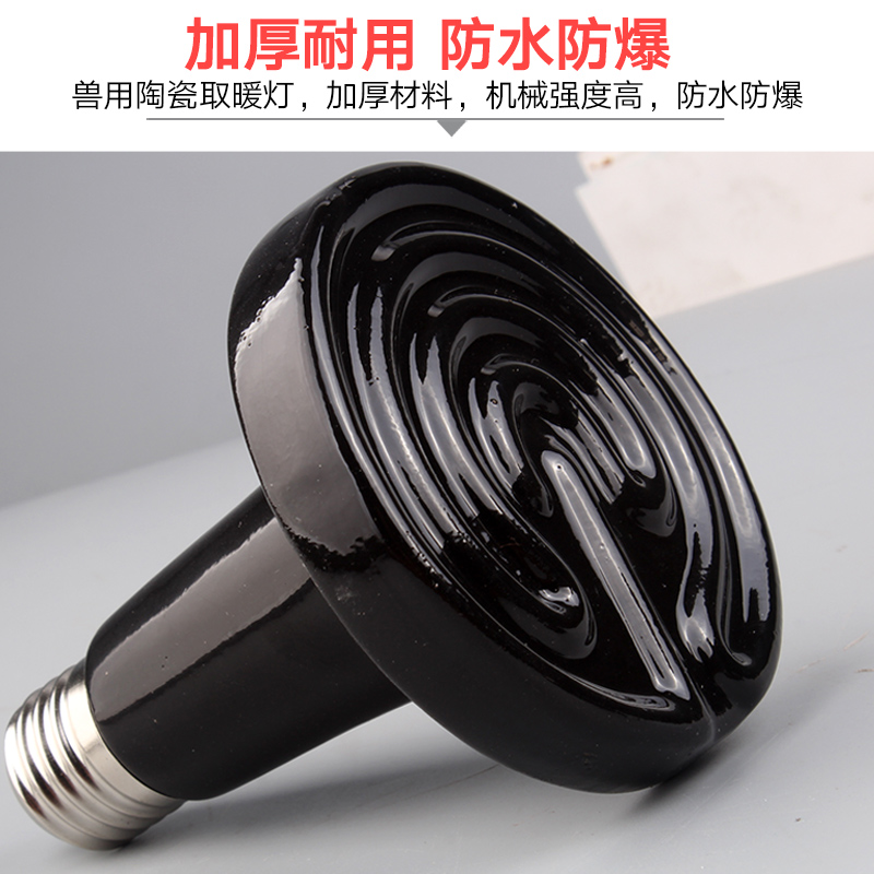 陶瓷加热灯陆龟蜥蜴晒背保温灯鹦鹉温控夜灯爬虫宠物加热无光灯,淘宝优惠券,粉丝福利购,淘宝优惠卷