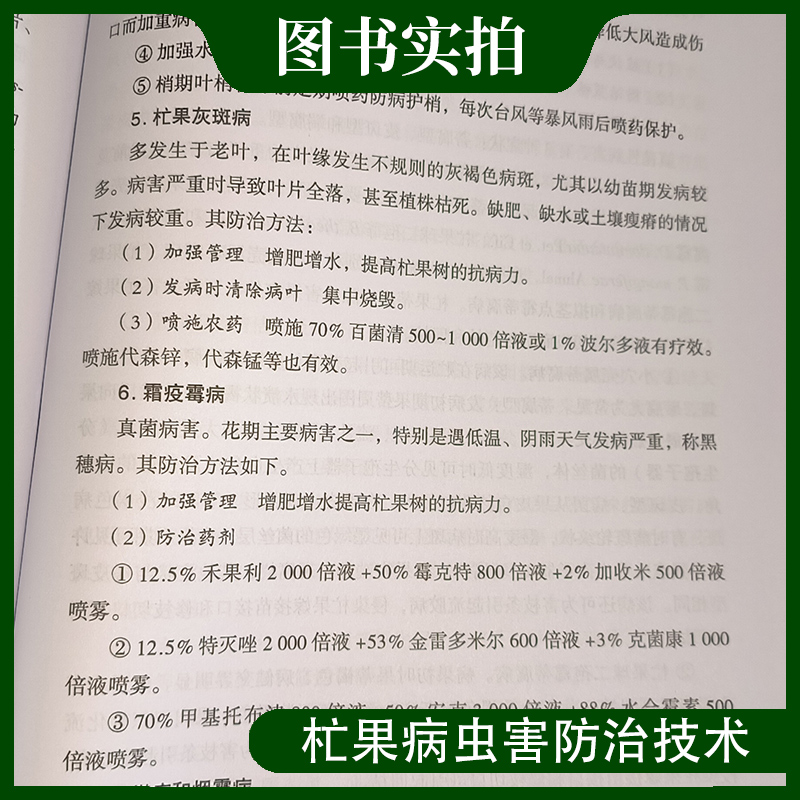 杧果精准栽培技术 刘德兵 种植芒果树病虫害防治技术大全书籍 杧果园的建立及幼树的管理书 农业科技术 杧果生产者的参考图书籍 - 图3