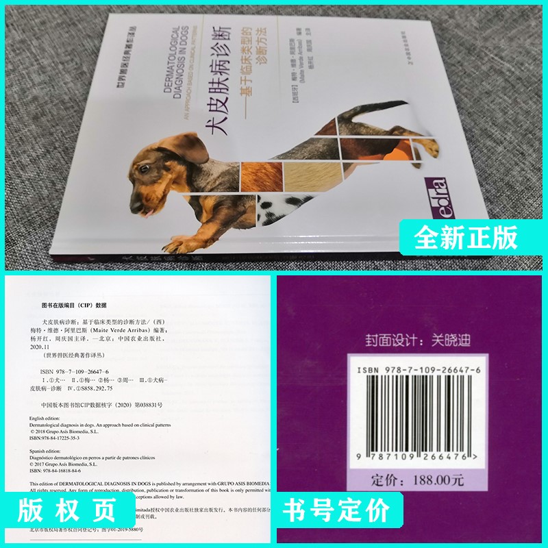 犬皮肤病诊断基于临床类型的诊断方法犬皮肤病 犬皮肤病学  犬皮肤病彩色图片诊治 - 图1