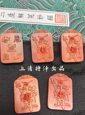 真品雷击木吊坠紫薇讳五岳真形图天然雷击枣木保真男女款挂件项坠