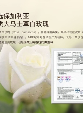 大马士革白玫瑰纯露补水提亮