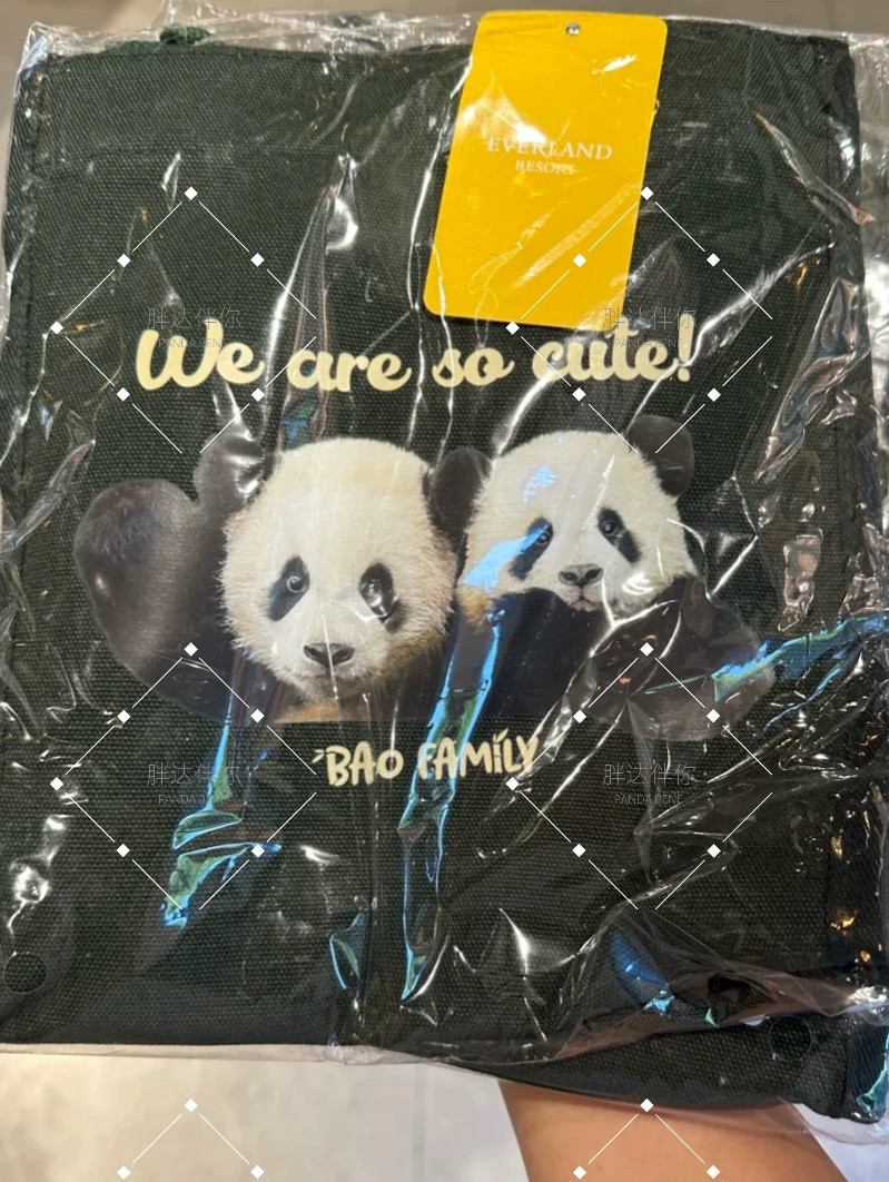 现货熊猫福宝帆布袋爱宝乐园宝家族帆布袋福宝周边熊猫手拎斜挎包,淘宝优惠券,粉丝福利购,淘宝优惠卷