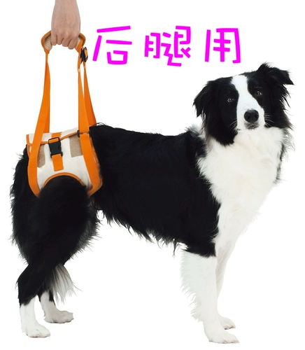 Япония Petio/Petio Cares о вспомогательном ремешках для собак пожилой собаки обратно в передние/задние ноги инвалидности.