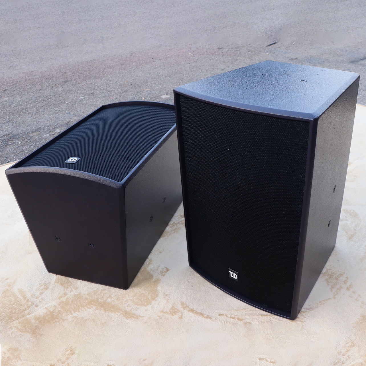 TD Tanglong Tai Chi K.sound 10-inch professional stage speakers imported from Italy 10-inch ktv speakers