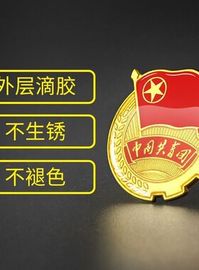共青员胸章团徽团员学校学生标准版中国共青团胸章新款大磁铁别针