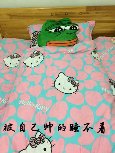 漫联悲伤蛙联名pepe佩佩 悲伤蛙周边 双面表情抱枕大眼蛙靠垫坐垫 - 图0