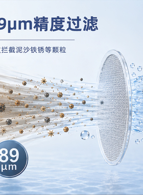 恩美特前置过滤器德国原装进口大流量Turbo反冲洗