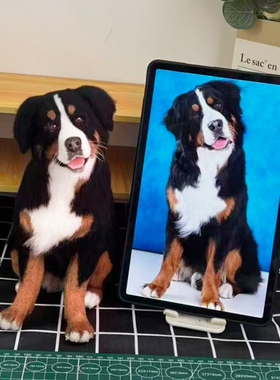 羊毛毡仿真宠物定制纪念品离去世手工diy订制相框礼物猫猫咪