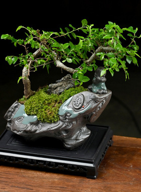 花盆哥窑陶瓷盆栽花器悬崖造型