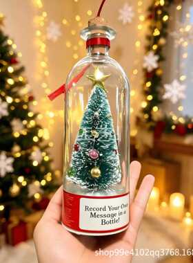 ChristmasTreeMessageinaBottle