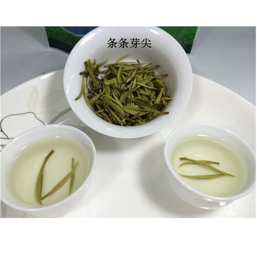 2026年头春茶广东仁化白毛尖绿茶丹霞银毫散装礼盒装袋装茶农直销 - 图2