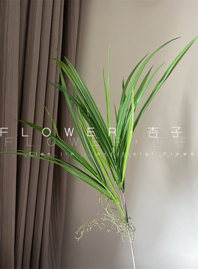 空气草仿真绿植吊顶金鱼草