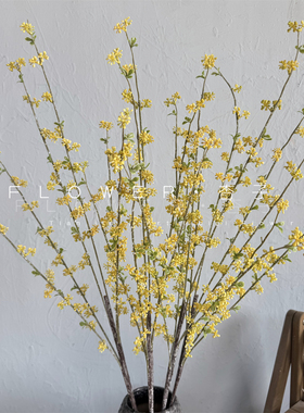 仿真花柳枝芽假花清新嫩芽藤条绿植雪柳枝相思豆线条花艺插花软装