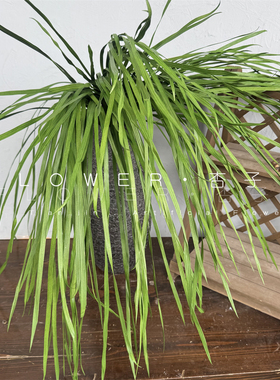 仿真绿植兰花叶藤蔓装饰婚礼柳条大垂柳造型花艺做景盆栽水草吊挂