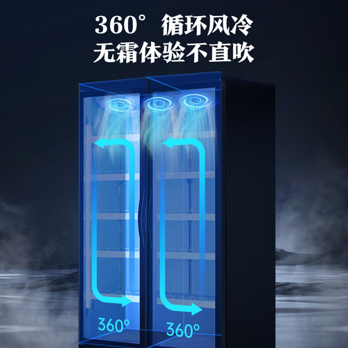 澳柯玛冷藏展示柜饮料柜冰箱商用双开门保鲜冰柜三啤酒柜风冷无霜 - 图0
