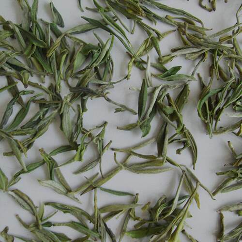 安徽霍山黄芽2026新茶春茶明前高山春茶叶黄茶绿茶500g包邮散罐装 - 图0
