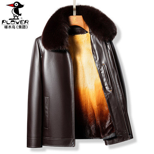 真皮皮夹克男士貂皮大衣狐狸毛领海宁新款皮草黄金貂内胆绵羊皮衣 - 图0