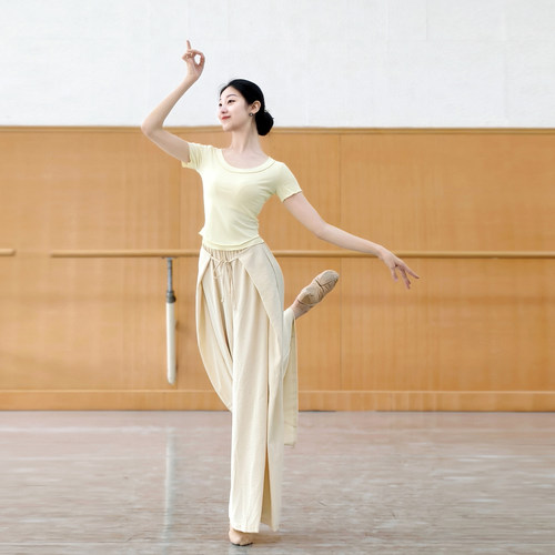 现代舞上衣古典舞练功服夏季中国舞服装女款新款显瘦时尚舞蹈衣服 - 图3