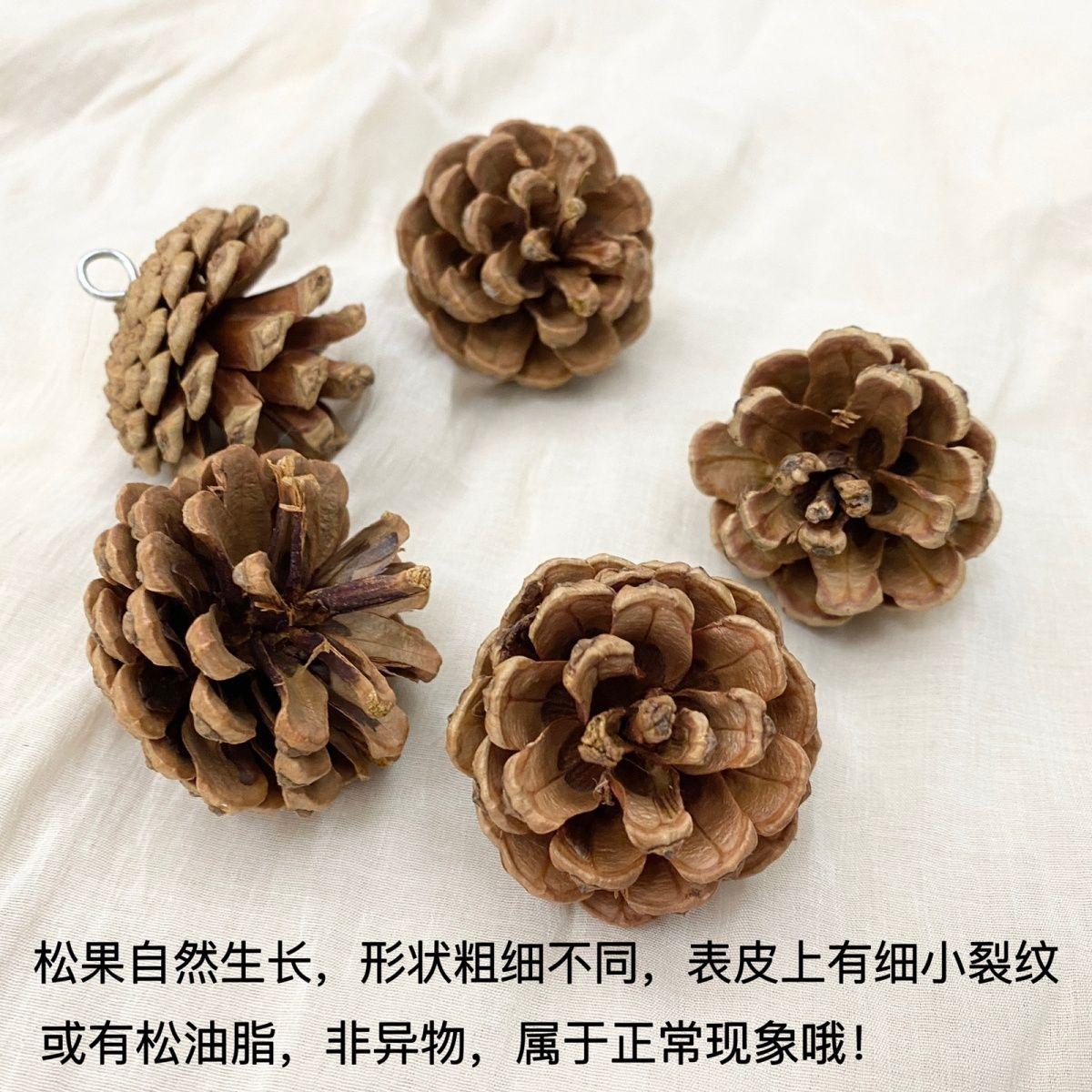 牡丹玄凤鹦鹉啃咬用品天然松果松球虎皮小鸟磨嘴玩具解闷鸟笼装饰-图2