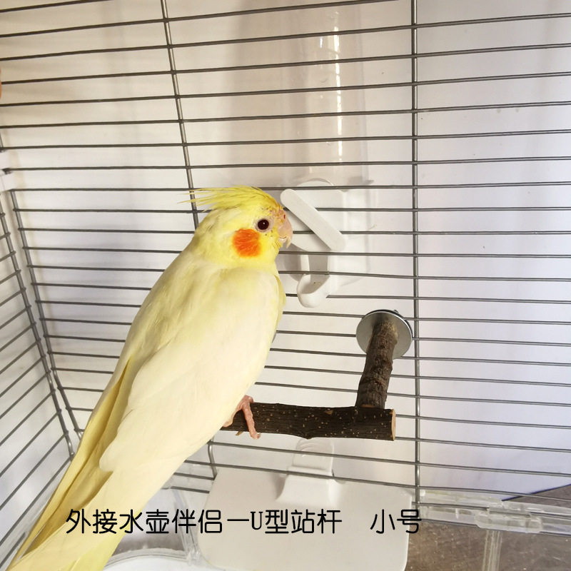 鹦鹉苹果木站杆 U型水壶站架 鸟类喝水站杆 食碗支架实木木质站架,淘宝优惠券,粉丝福利购,淘宝优惠卷
